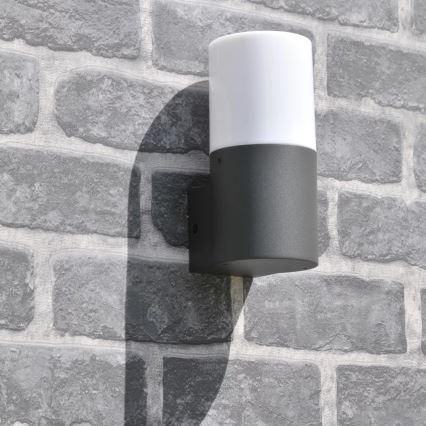Utomhus vägglampa DALLAS 1xE27/12W/230V IP44 antracit