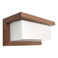 Utomhusvägglampa NEELY 1xE27/60W/230V IP54 brun