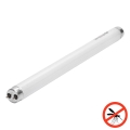 UV-lysrör till insektsfälla G13/10W/230V 36,5 cm - BRILAGI