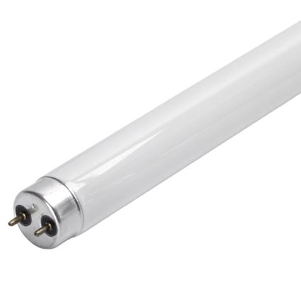 UV-lysrör till insektsfälla G13/10W/230V 36,5 cm - BRILAGI