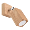 Vägg spotlight  KEKE 1xGU10/40W/230V ek