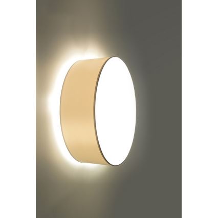 Väggbelysning ARENA 1xE27/60W/230V vit