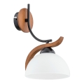 Vägglampa BAFIA 1xE27/15W/230V brun