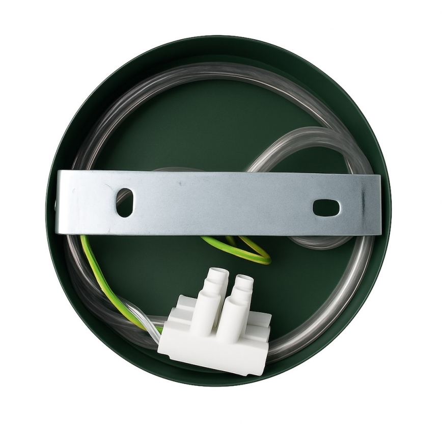 Vägglampa CAPITAL 1xGX53/15W/230V grön