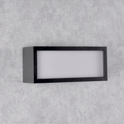 Vägglampa för utomhusbruk MITO 1xE27/12W/230V IP54