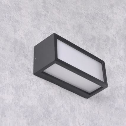 Vägglampa för utomhusbruk MITO 1xE27/12W/230V IP54