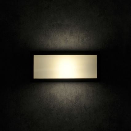 Vägglampa för utomhusbruk MITO 1xE27/12W/230V IP54