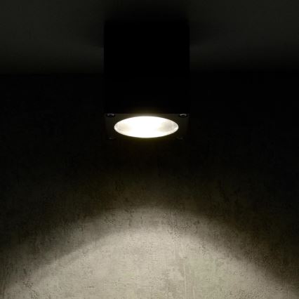 Vägglampa för utomhusbruk MORRIS 1xGU10/35W/230V IP54