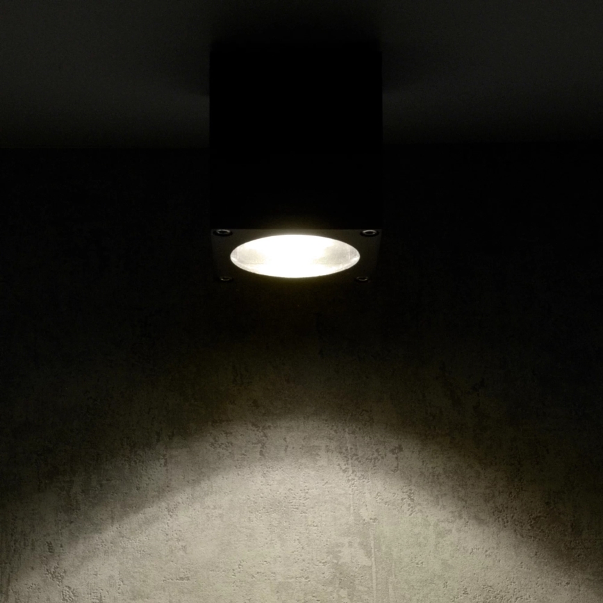 Vägglampa för utomhusbruk MORRIS 1xGU10/35W/230V IP54