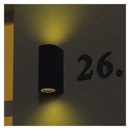 Vägglampa för utomhusbruk OCULUS 2xGU10/7W/230V IP44