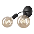 Vägglampa VIGGO 2xE27/60W/230V