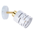 Väggspotlight ELEN 1xE27/35W/230V vit/guld