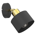 Väggspotlight PARKLA 1xE27/15W/230V svart/guld