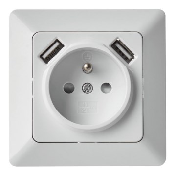 Vägguttag med USB FRENCH 250V/16A