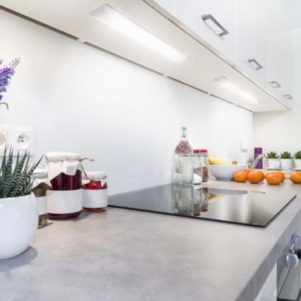 VIGA LED-underskåpsarmatur LED/20W/230V 6000K vit