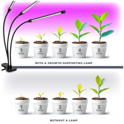 LED Dimbart flexibelt skrivbordslampa med klämma för växtodling VITARO 3xLED/10W/230V svart