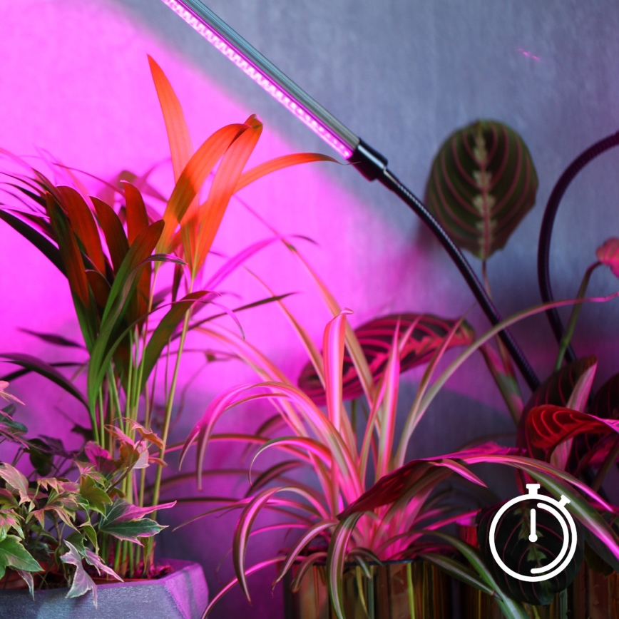 LED Dimbart flexibelt skrivbordslampa med klämma för växtodling VITARO 4xLED/10W/230V svart