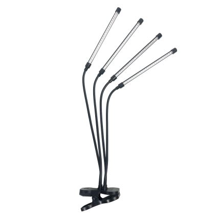 LED Dimbart flexibelt skrivbordslampa med klämma för växtodling VITARO 4xLED/10W/230V svart