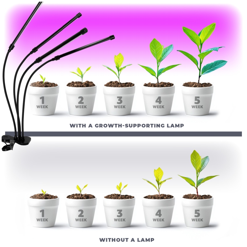 LED Dimbart flexibelt skrivbordslampa med klämma för växtodling VITARO 4xLED/10W/230V svart