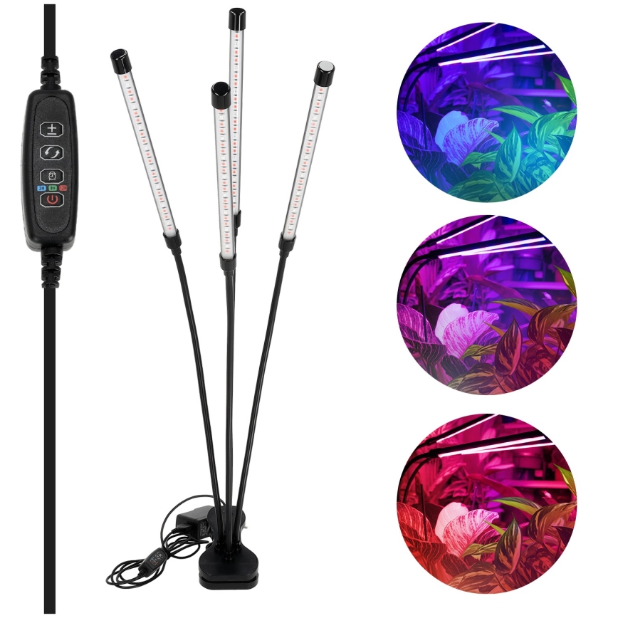 LED Dimbart flexibelt skrivbordslampa med klämma för växtodling VITARO 4xLED/10W/230V svart