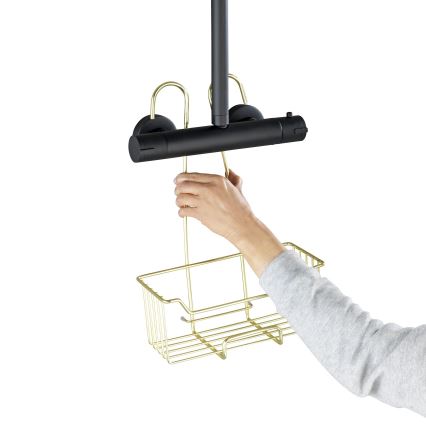 WENKO 25937100 - Duschkorg MILO 25 x 36 cm, rostfritt stål/guld/genomskinlig