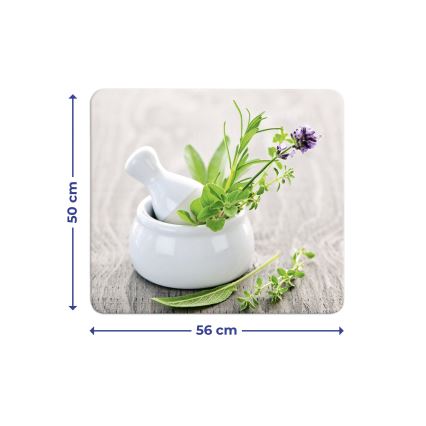 WENKO 2712940500 - Täckplatta för livsmedel 56x50 cm flerfärgad/transparent