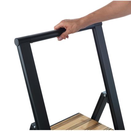 WENKO 50482100 - ALU-DESIGN stege 44x101 cm svart