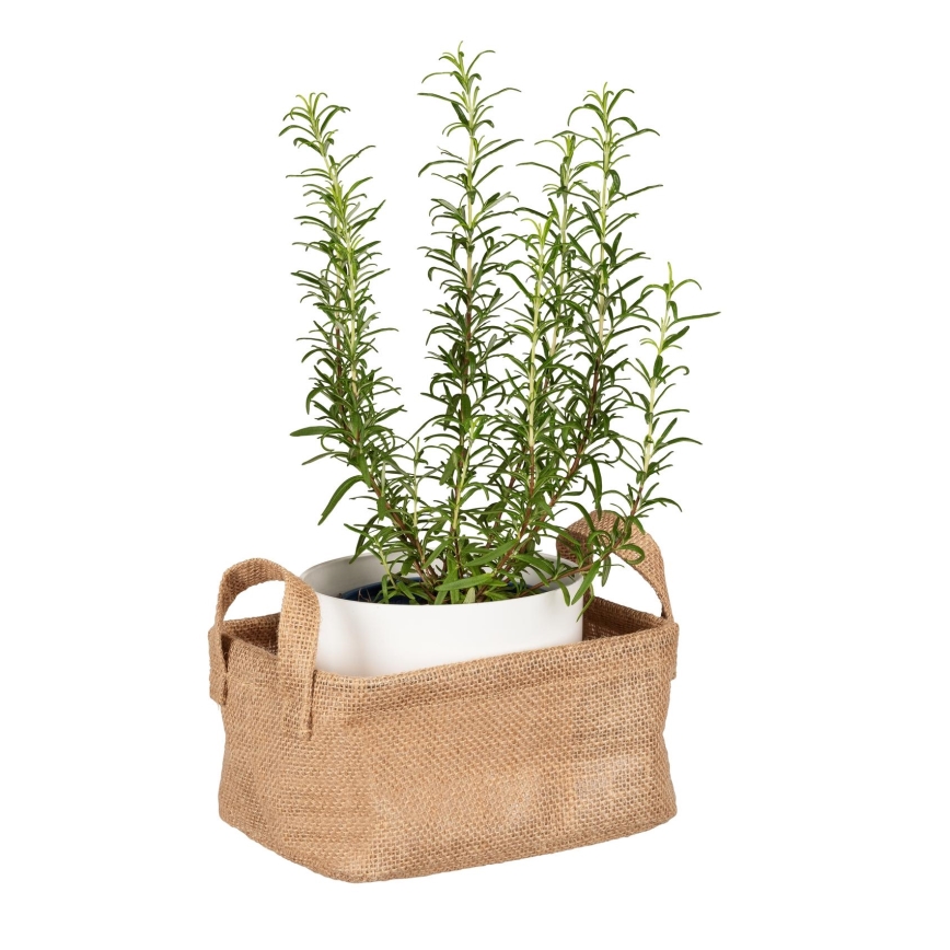 WENKO 64470100 - Korg JUNA 20x15 cm brun