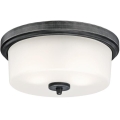 Westinghouse 6325140 - Taklampa CEDRIC 2xE27/40W/230V Ø 33 cm