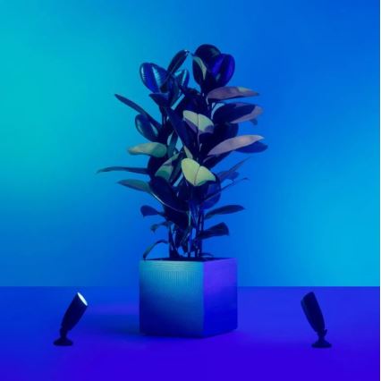 WiZ - SET 2x LED RGBW Dimbart utomhusspotlight SPOT LED/10W/230V 2700-5000K IP65 Wi-Fi