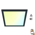 WiZ - LED Dimbar taklampa SUPERSLIM LED/12W/230V svart Wi-Fi