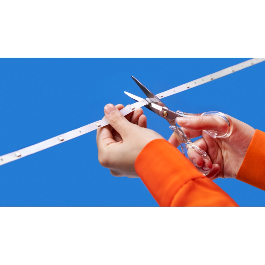 WiZ - LED RGBW dimbar remsa 10m LED/12W/230V 2700-6500K Wi-Fi