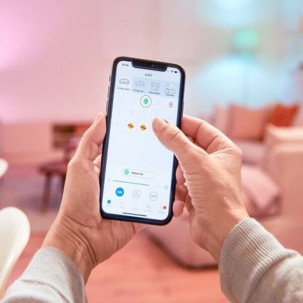 WiZ - Smart uttag E 2300W + effektmätare Wi-Fi