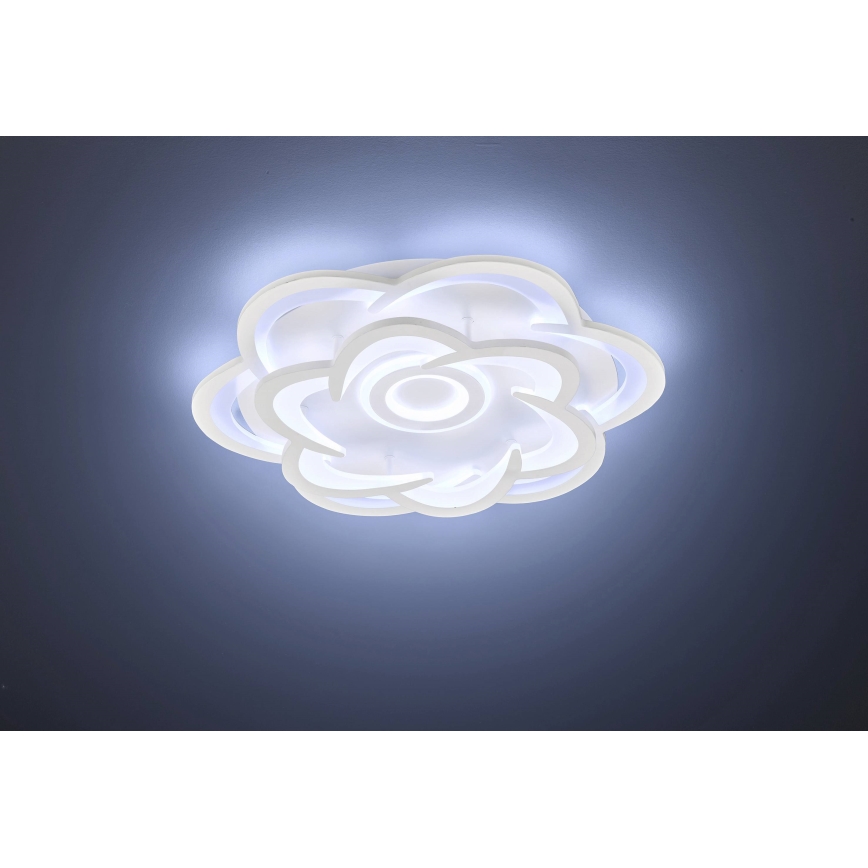 Wofi 11209 - LED Dimbar taklampa ICA LED/47W/230V 2700-5500K + fjärrkontroll