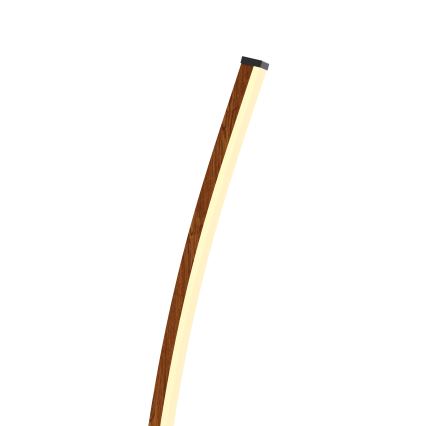 Wofi 3020-106 - LED Dimbar golvlampa BOLOGNA LED/21W/230V