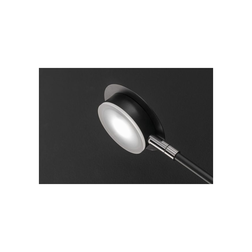 Wofi 446602109000 - LED Vägglampa BELIZE 2xLED/5W/230V 3000K svart