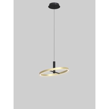 Wofi 6016-104L - LED-dimmbar pendellampa på vajer BREST LED/19W/230V Ø 42 cm svart/guld