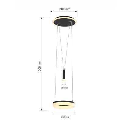 Wofi 6054-302 - LED dimbar taklampa JESSE LED/15,5W/230V svart