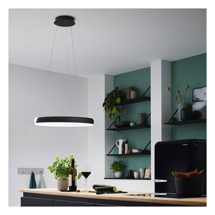 Wofi 6481.01.10.8401 - LED dimbar taklampa på kabel CLINT LED/24W/230V 2800-6500K Wi-Fi + fjärrkontroll