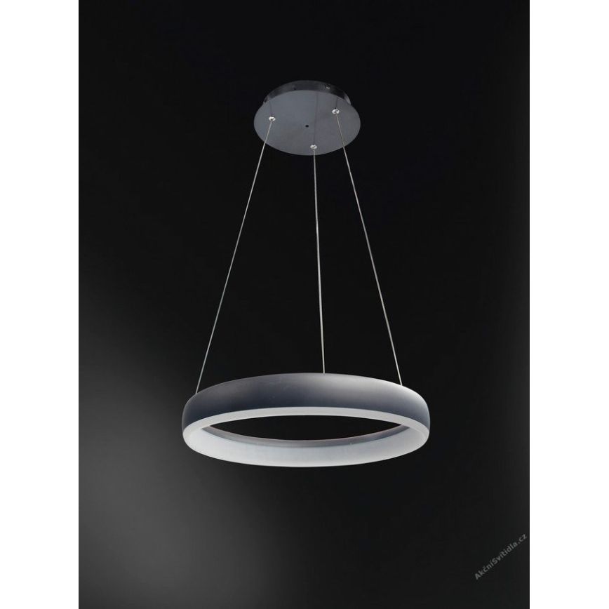 Wofi 6481.01.10.8401 - LED dimbar taklampa på kabel CLINT LED/24W/230V 2800-6500K Wi-Fi + fjärrkontroll