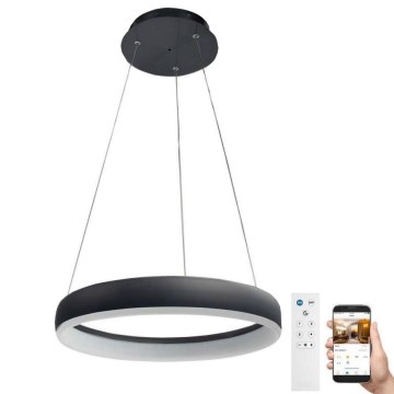 Wofi 6481.01.10.8401 - LED dimbar taklampa på kabel CLINT LED/24W/230V 2800-6500K Wi-Fi + fjärrkontroll