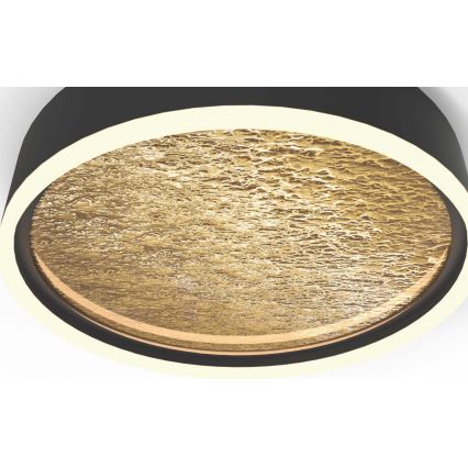 Wofi 9002-104M - LED dimbar taklampa BORDEAUX LED/37W/230V svart/guld