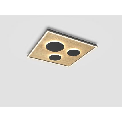 Wofi 9012-306L - LED Dimbart takarmatur DIJON LED/40W/230V