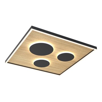 Wofi 9012-306L - LED Dimbart takarmatur DIJON LED/40W/230V