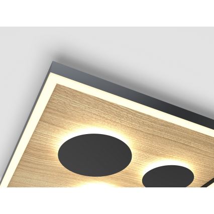 Wofi 9012-306S - LED dimbar taklampa DIJON LED/26W/230V