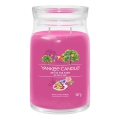 Yankee Candle - Doftljus ART IN THE PARK stor 567g 60-90 tim.