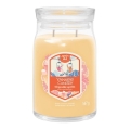 Yankee Candle - Doftljus SLOPESIDE SPRITZ stor 567g 60-90 tim.