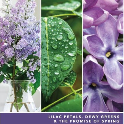 Yankee Candle - Stort doftljus LILAC BLOSSOMS 567g 60-90 tim.