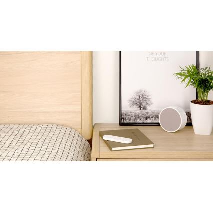 Yeelight - Fjärrkontroll  1xCR2032 Bluetooth