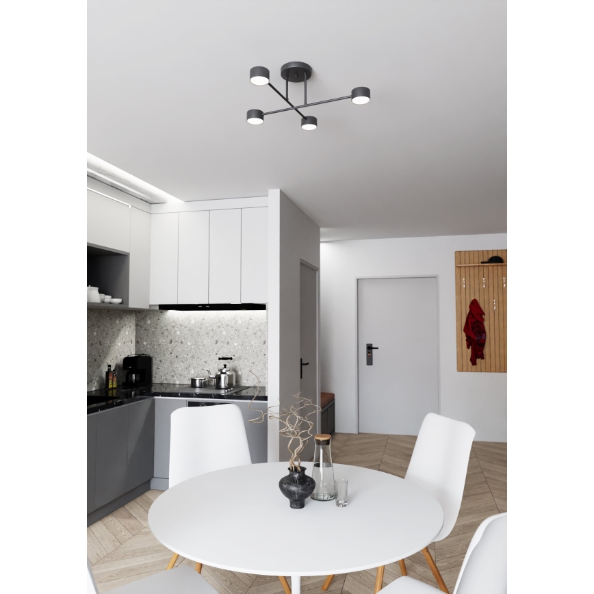 Ytmonterad ljuskrona HALO 4xGX53/10W/230V svart